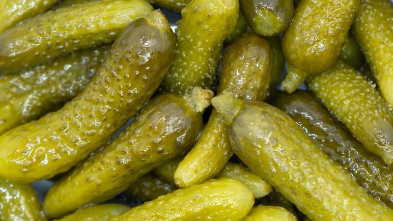 خیار شور خانگی ترد مناسب انواع غذا و ساندویچ